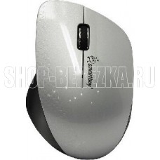 SMARTBUY (SBM-309AG-SK) серебр/черный