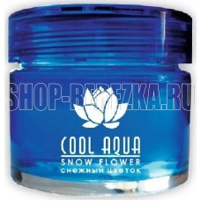 AZARD (СА-13) ароматизатор Cool Aqua, снежный цветок