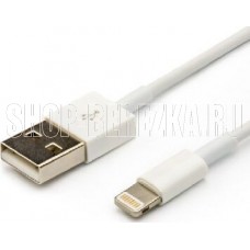 ATCOM (АТ5260) USB-8 Pin белый