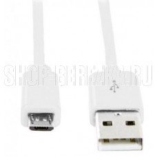 SMARTBUY (IK-12C white) USB - MICRO USB 1.0 м белый (5)