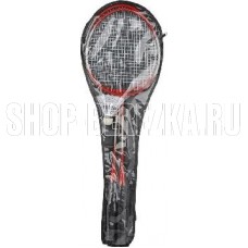 ЭКОС BdSet-04 набор для игры в бадминтон (323121)