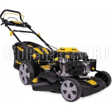 CHAMPION LM5131