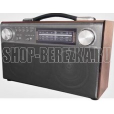 БЗРП РП-322 УКВ 64-108МГц, бат. 4*R20, 220V, акб 1400mA/h, USB/SD/microSD/AUX/Bluetooth, 2 динамика