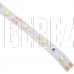 ECOLA S2LD05ESB STD 4,8W/m 12V IP20 8mm 60Led/m 6000K 5м