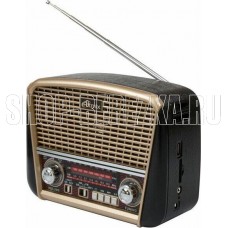 RITMIX RPR-050 GOLD
