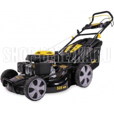 CHAMPION LM5345