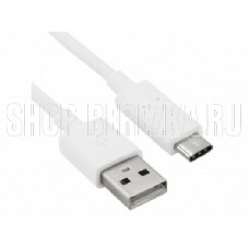 SMARTBUY (iK-3112 white) USB 2.0 - USB TYPE C 1 м белый