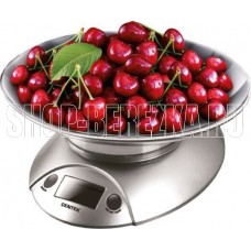 CENTEK CT-2451 silver