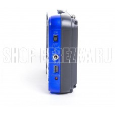 СИГНАЛ РП-224 FM 88-108МГц, бат. 3*АА, акб 400mA/h, USB/microSD, дисплей, светодиодный фонарь