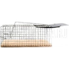 РЫЖИЙ КОТ крысоловка 