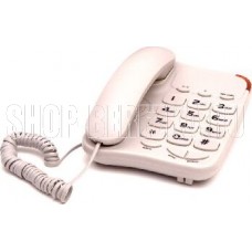 ВЕКТОР 545/09 IVORY