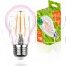 REV 32416 4 GARDEN А60/E27/7W FILAMENT 575-650Нм