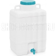 АЛЬТЕРНАТИВА М667 канистра 20л.
