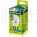 ERGOLUX (12145) LED-G45-7W-E27-4K