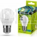 ERGOLUX (12145) LED-G45-7W-E27-4K