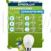 ERGOLUX (12145) LED-G45-7W-E27-4K
