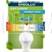 ERGOLUX (12151) LED-A60-12W-E27-4K
