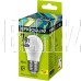 ERGOLUX (12143) LED-G45-7W-E27-3K