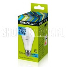 ERGOLUX (13183) LED-A65-20W-E27-4K