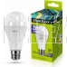 ERGOLUX (13184) LED-A65-20W-E27-6K