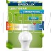 ERGOLUX (12880) LED-A60-12W-E27-6K