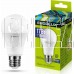 ERGOLUX (13181) LED-A60-17W-E27-6K