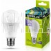 ERGOLUX (12879) LED-A60-10W-E27-6K