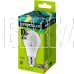 ERGOLUX (12879) LED-A60-10W-E27-6K