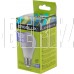 ERGOLUX (12879) LED-A60-10W-E27-6K