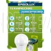 ERGOLUX (12879) LED-A60-10W-E27-6K