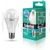 CAMELION (12036) LED11-A60/845/E27/4500К