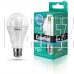 CAMELION (12036) LED11-A60/845/E27/4500К