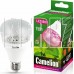 CAMELION (12770) LED15-PL/BIO/E27/15Вт
