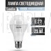 CAMELION (13573) LED25-A65/865/E27
