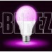 SMARTBUY (SBL-A60-13-fito-E27) - фито