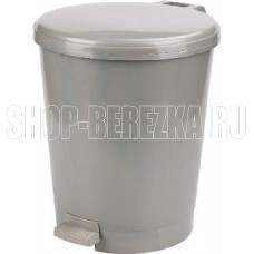 АЛЬТЕРНАТИВА М7250 Эконом 12л (с педалью)