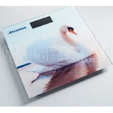 АКСИНЬЯ КС-6010 