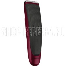 HOMESTAR HS-9010 (005835)
