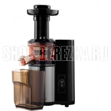 ARESA AR-2504