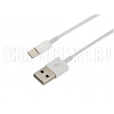 REXANT (18-1121) USB-Lightning