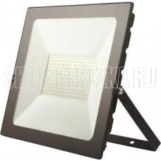 REXANT (605-002) 20ВТ 200-260В IP65 1600ЛМ 6500K холодный свет