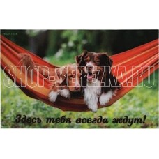 VORTEX 24217 Коврик влаговпитывающий 