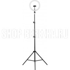 CAMELION (13010) KD-810F C02 10 Вт