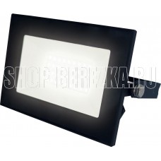 UNIEL (UL-00007732) ULF-F21-30W/3000K IP65 200-250В BLACK UNIEL (UL-00007732) ULF-F21-30W/3000K IP65 200-250В BLACK