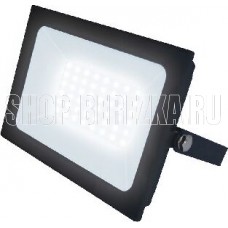 UNIEL (UL-00007960) ULF-F21-50W/4000K IP65 200-250В BLACK