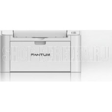 PANTUM P2518 White