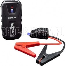 БЕРКУТ JSL-15000