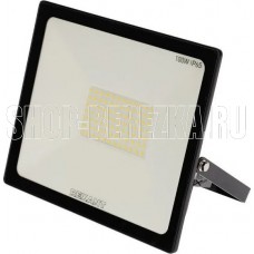 REXANT (605-005) 100 Вт 200-260В IP65 8000 лм 6500 K холодный свет