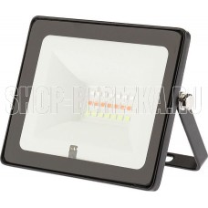 REXANT (605-010) (RGB) 10 ватт с пультом дистанционного управления