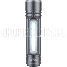PERFEO (PF_B4102) Regs PL-303